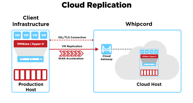 Replication Graphic.png